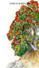 Load image into Gallery viewer, Pohutukawa Tincture 1:5 100ml