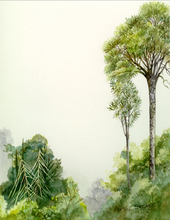 Load image into Gallery viewer, Horoeka Tincture 1:5 100ml