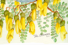 Load image into Gallery viewer, Hinu Mahue (Abandon Fat) Weight Management Formula 500ml